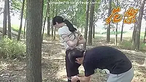 Forest Tied Up