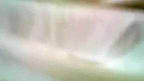 college girl And Boyfriend Home Made Porn