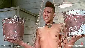 Ebony Trainee Sucking Huge Dick To Gimp